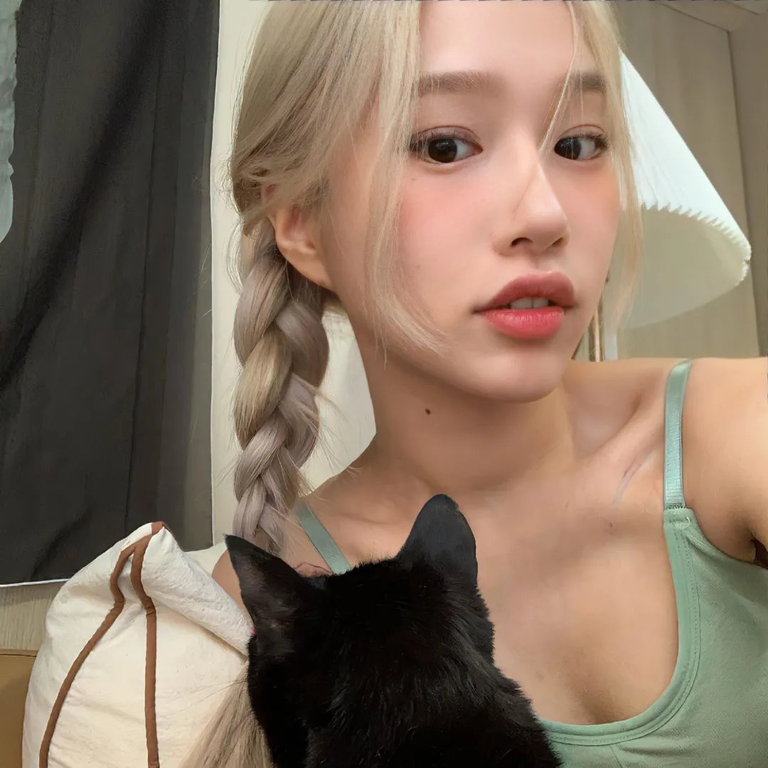 猫和金丝雀